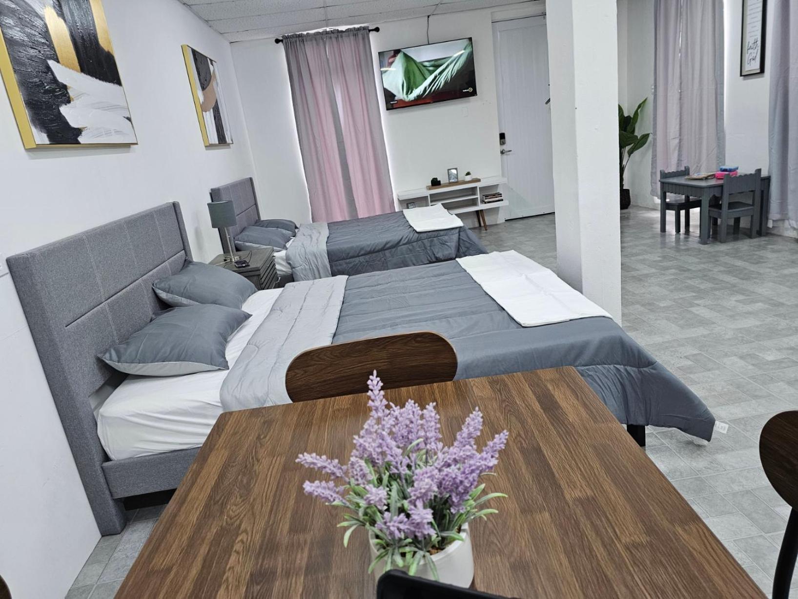 Salmos 23 Acogedor Apartamento Estudio Ceiba ภายนอก รูปภาพ
